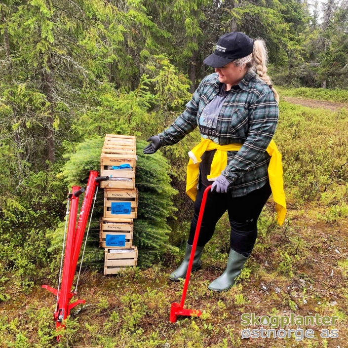 62617849_2461770380527685_8270205896362033152_n Planting