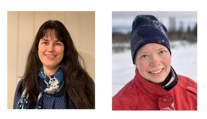 bilde nyansatte Skogplanter østnorge