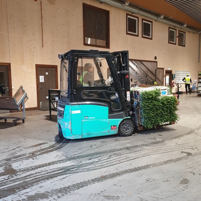 kjører planter